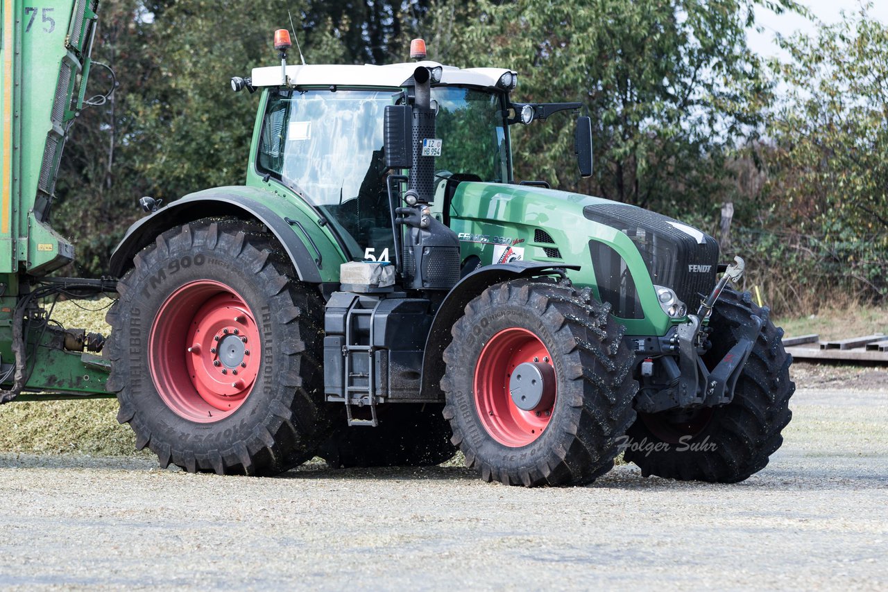 Bild 146 - Maisernte